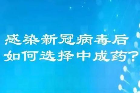 ld乐动体育手机版casino plus官网